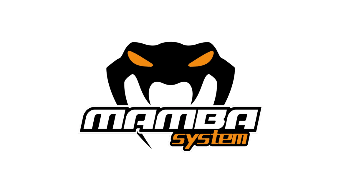 Mamba System